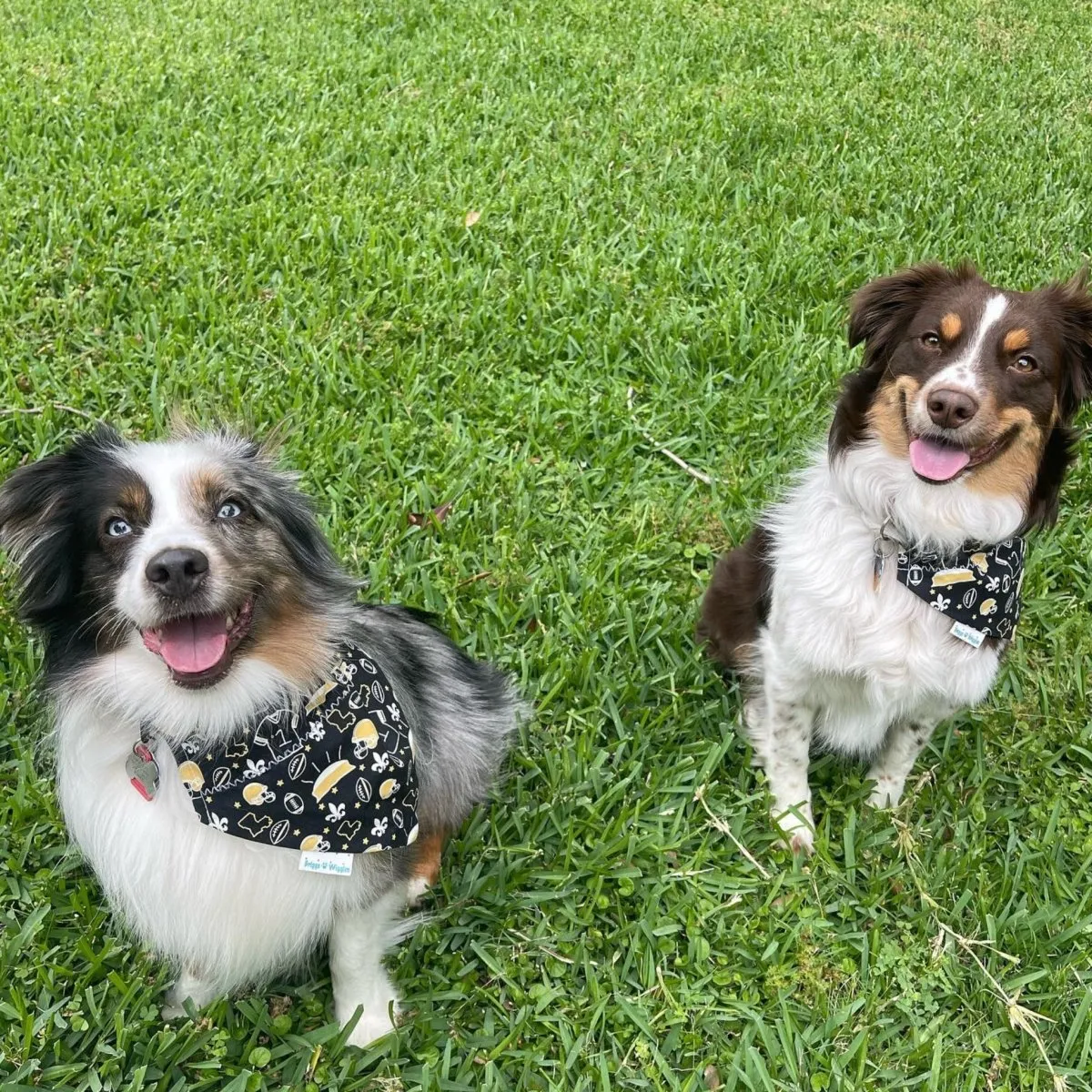 WHO DAT Reversible New Orleans Saints-inspired Dog Bandana